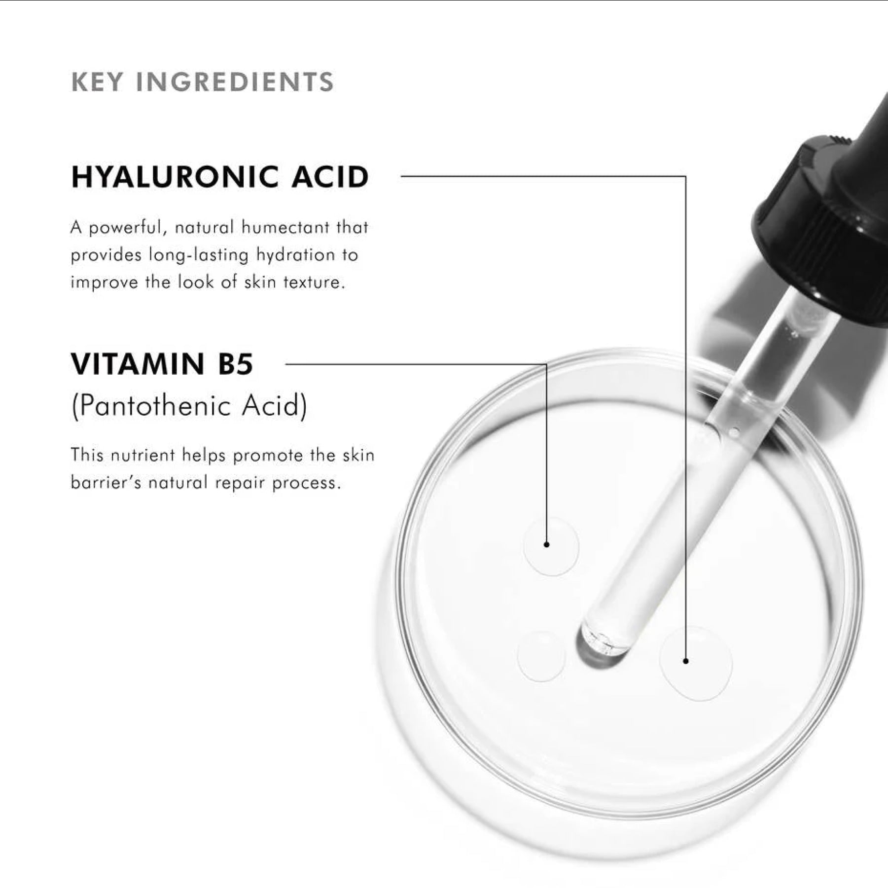 SkinCeuticals Hydrating B5 Gel serum in a clear jar with a white lid, showing the gel texture and ingredient list.