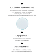HYAKU Beauty Dive-In Low Molecule Hyaluronic Acid Face Cream by TORRIDEN, 80ml jar with smooth, hydrating cream inside